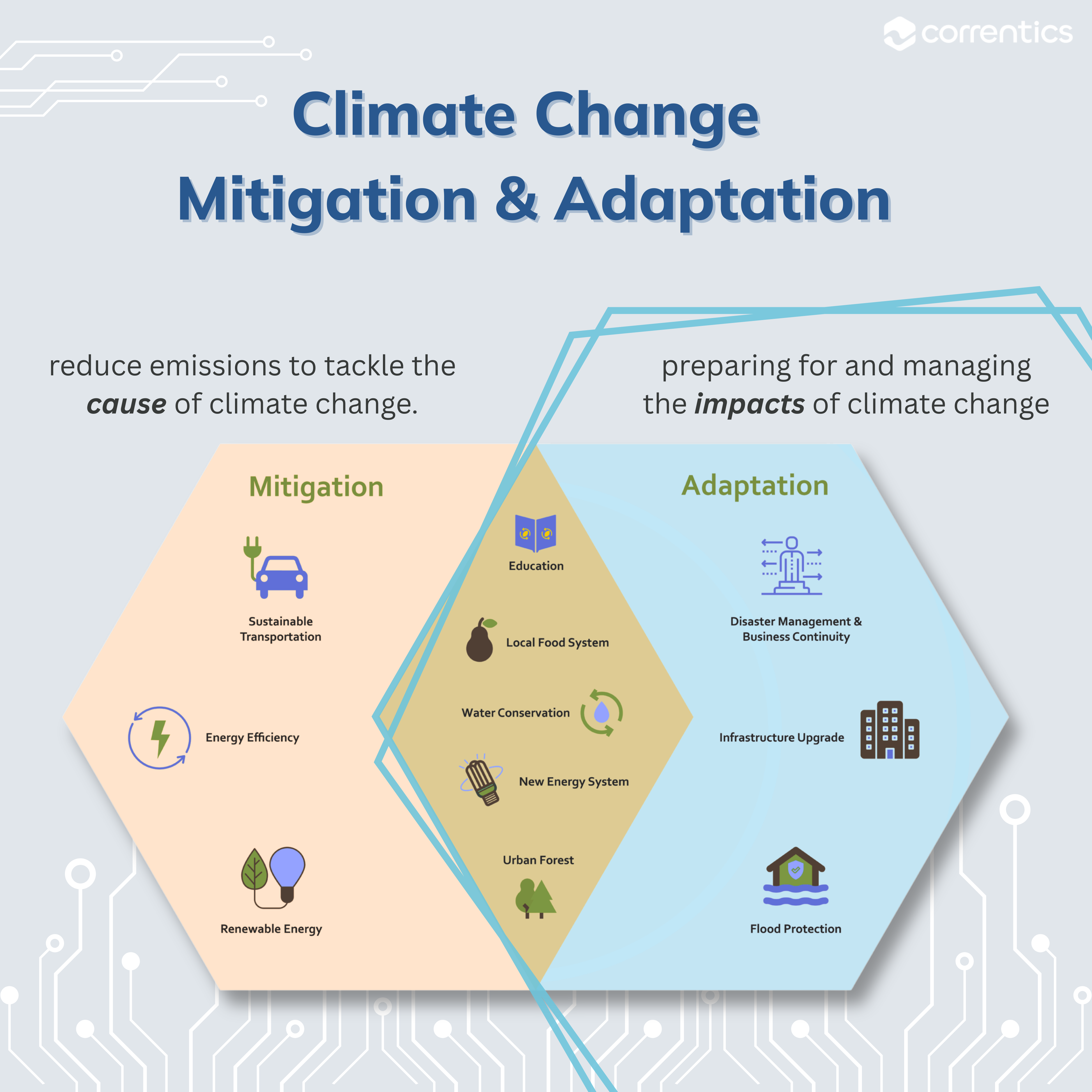 Information graphic on climate mitigation and climate adaptation