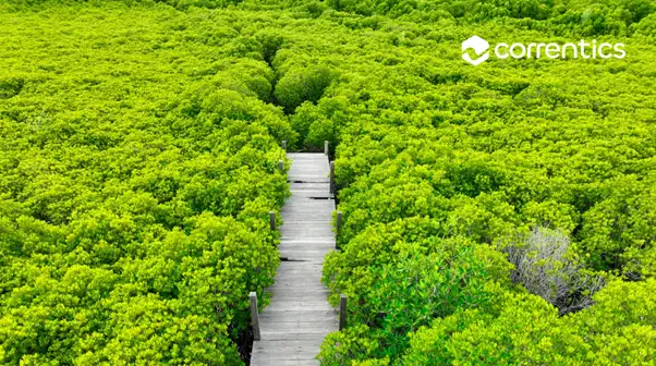 What is climate risk mitigation?